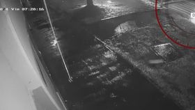 VIDEO Un șofer din Arad a fugit, după ce a dat peste o femeie în vârstă de 31 de ani. Poliția îl caută peste tot